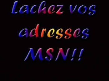 msn/blog